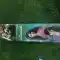 Lunik Rocket